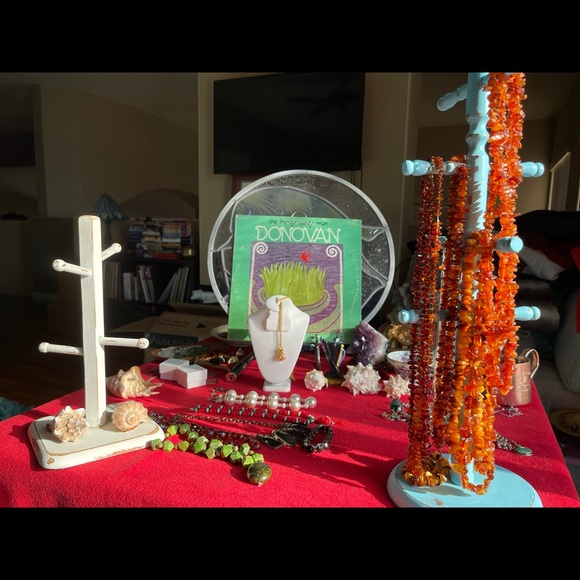 Meet your Posher, Lisa - Picture 4 of 4